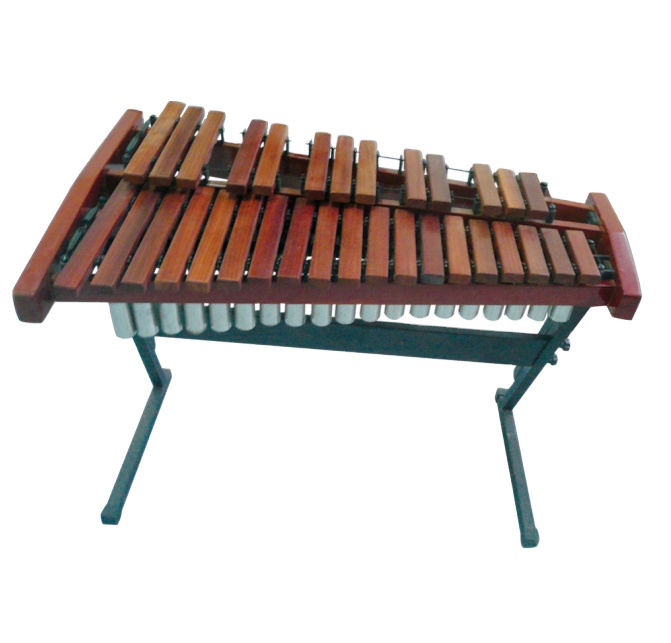 32-Toniges Professionelles Xyl – Musical Instrument Xylophone Bewertung und Preis