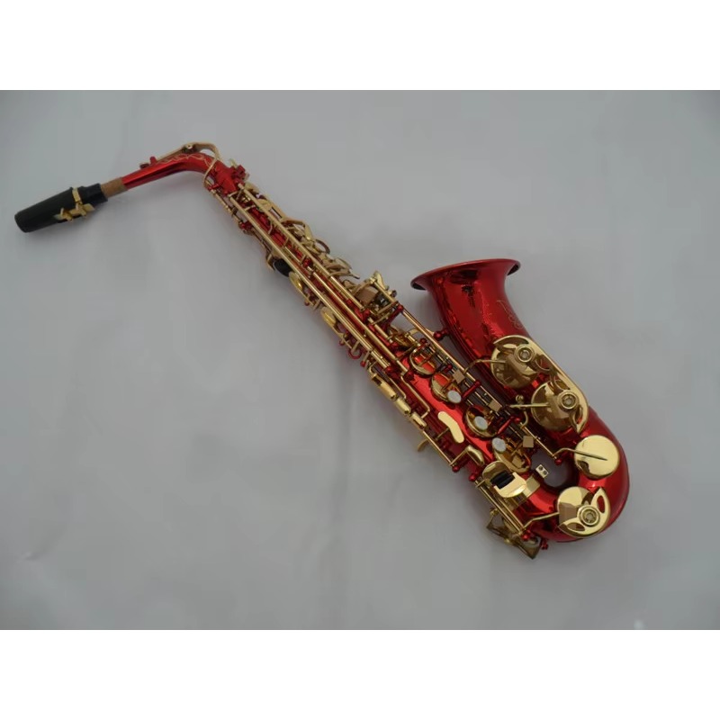 Anpassbares E-Flat-Altsaxophon – Musical Instrument Bassoon Bewertung und Preis
